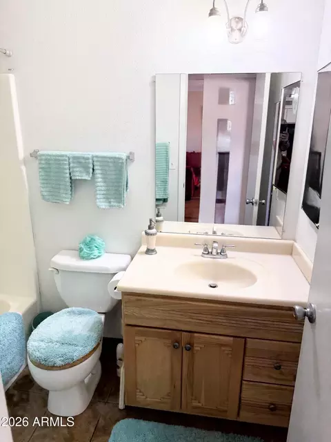 Bath - 7919 E Flossmoor Ave, Mesa, AZ 85208 photo 2 of 4