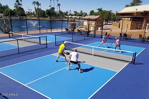 View/Area - 7919 E Flossmoor Ave, Mesa, AZ 85208 photo 3 of 11