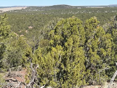 lot80 Ranch Rd #80, Vernon, AZ 85940