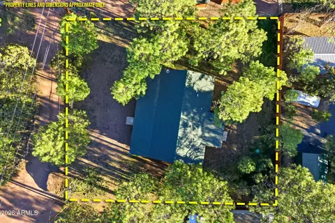 View/Area - 2900 Long Rifle Pl, Overgaard, AZ 85933 photo 5 of 5