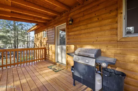 Exterior - 2900 Long Rifle Pl, Overgaard, AZ 85933 photo 8 of 13