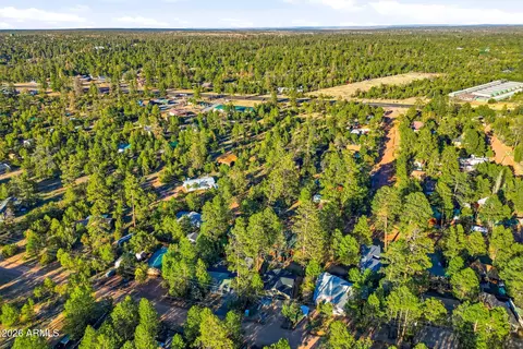 View/Area - 2900 Long Rifle Pl, Overgaard, AZ 85933 photo 4 of 5