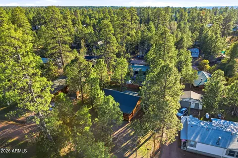 View/Area - 2900 Long Rifle Pl, Overgaard, AZ 85933 photo 1 of 5