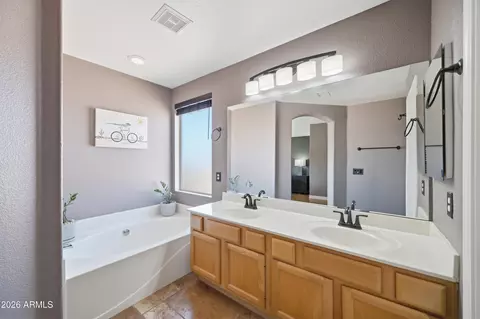 Bath - 3165 E Desert Ln, Gilbert, AZ 85234 photo 3 of 4