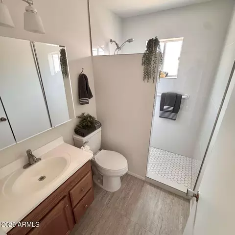 Bath - 5437 E Butte St, Mesa, AZ 85205 photo 2 of 3