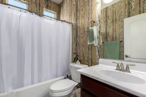 Bath - 4154 E Pony Ln, Gilbert, AZ 85295 photo 3 of 3