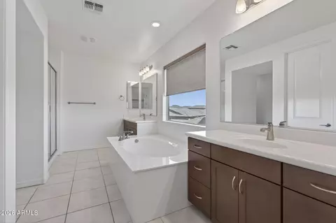 Bath - 9960 E Seismic Ave, Mesa, AZ 85212 photo 3 of 8
