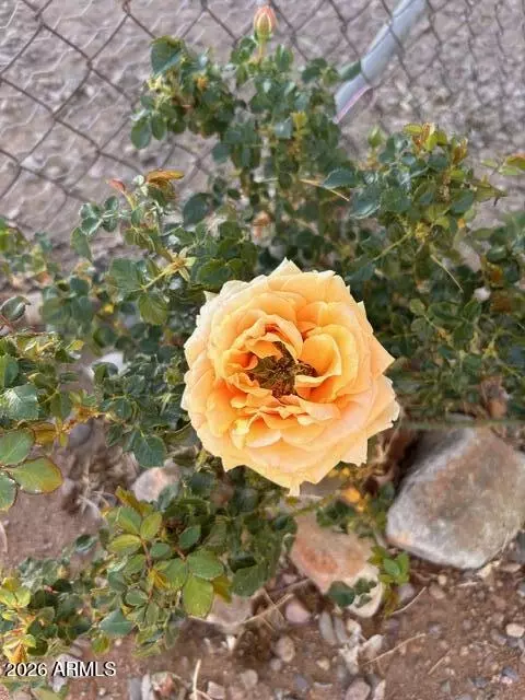 Other - 3821 E Keeling Rd, Hereford, AZ 85615 photo 7 of 13