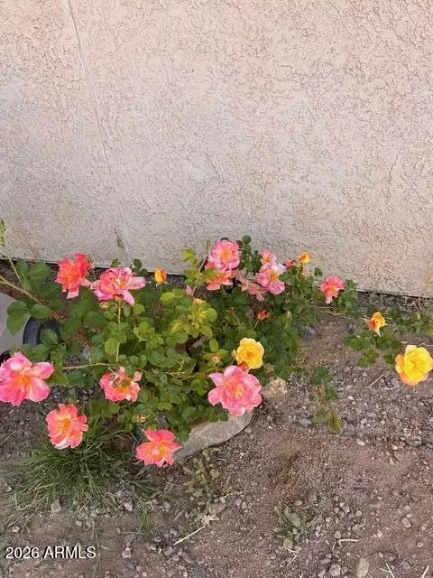 Other - 3821 E Keeling Rd, Hereford, AZ 85615 photo 8 of 13