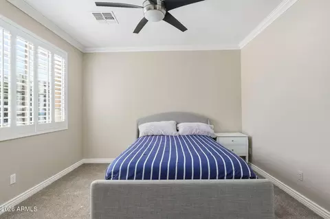 Bedroom - 3752 E Donald Dr, Phoenix, AZ 85050 photo 2 of 2