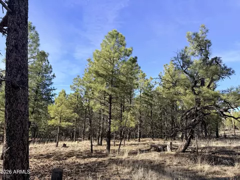 2397 Wigeon Way #6, Happy Jack, AZ 86024
