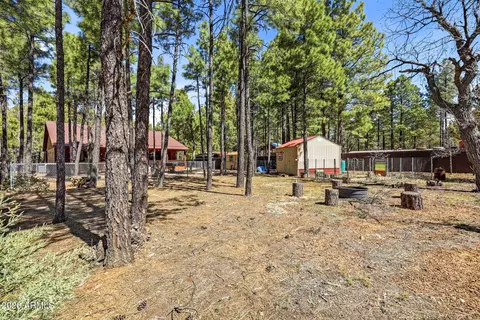 3261 W Timber Dr #E, Lakeside, AZ 85929 photo 33