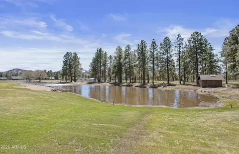 View/Area - 600 W Brookline Loop, Williams, AZ 86046 photo 4 of 4