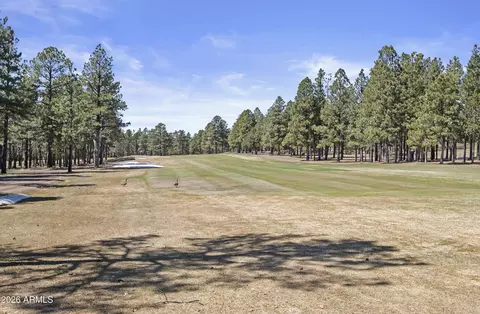 Other - 600 W Brookline Loop, Williams, AZ 86046 photo 17 of 17