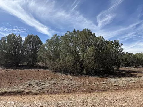 8389 Bear Meadow Dr #4, Show Low, AZ 85901
