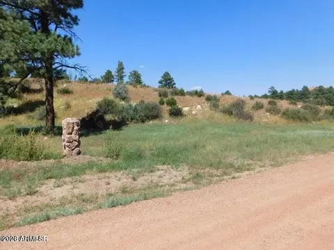 2806-2808 Pine Hill Dr #013 & 014, Overgaard, AZ 85933