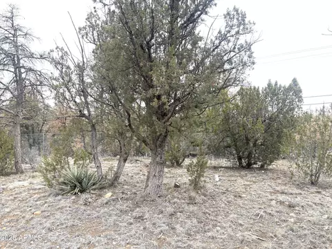 Other - 3130 Aspen Rd, Overgaard, AZ 85933 photo 12 of 13