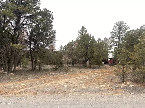 Other - 3130 Aspen Rd, Overgaard, AZ 85933 photo 2 of 13