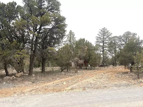 Exterior - 3130 Aspen Rd, Overgaard, AZ 85933 photo 11 of 11