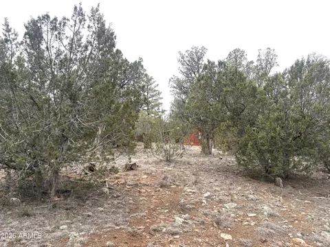 Exterior - 3130 Aspen Rd, Overgaard, AZ 85933 photo 10 of 11
