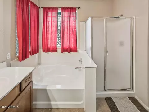 Bath - 2925 E Andre Ave, Gilbert, AZ 85298 photo 3 of 5