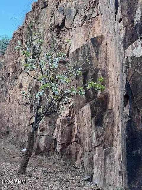 Other - 236 Brewery Ave # A, Bisbee, AZ 85603 photo 2 of 13
