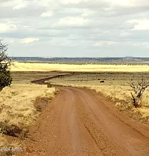 lot88 Ranch Of The White Mtns #088, Concho, AZ 85924