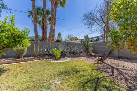 Exterior - 1609 E Williams St, Tempe, AZ 85281 photo 15 of 15