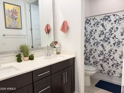 Bath - 9636 E Twinkle Cir, Mesa, AZ 85212 photo 1 of 2