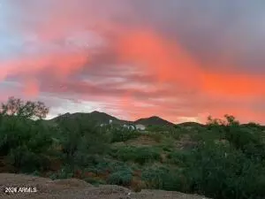 428 E Hemingway Ln, Phoenix, AZ 85086 photo 3