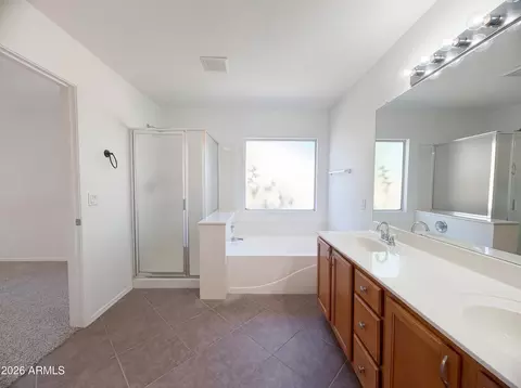 Bath - 9248 E Lobo Ave, Mesa, AZ 85209 photo 1 of 3