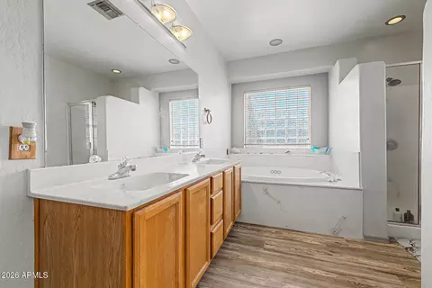 Bath - 22843 E Ivanhoe St, Mesa, AZ 85212 photo 1 of 6