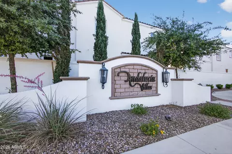 1568 E Shannon St, Gilbert, AZ 85295 photo 39