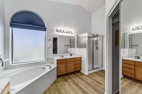 Bath - 16840 S 36th Pl, Phoenix, AZ 85048 photo 2 of 4
