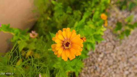 Other - 6906 E Laguna Azul Ave, Mesa, AZ 85209 photo 2 of 10
