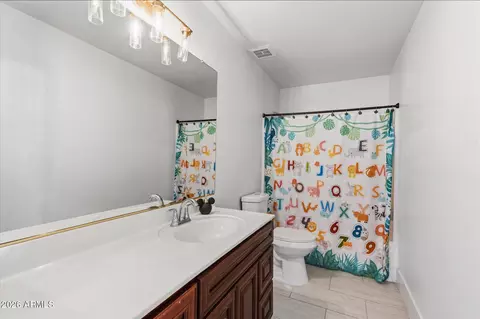 Bath - 10427 E Diamond Ave, Mesa, AZ 85208 photo 1 of 4