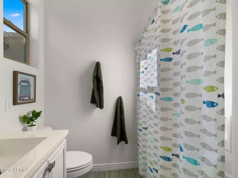 Bath - 10564 E Stearn Ave, Mesa, AZ 85212 photo 2 of 6