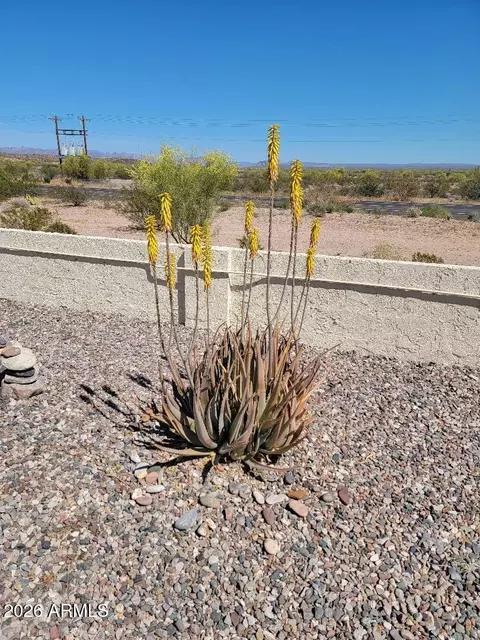 Other - 877 E Lancaster Cir, Florence, AZ 85132 photo 5 of 7