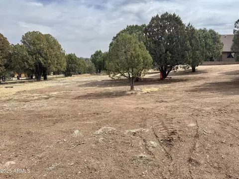 Other - 137 E Hilltop Dr, Young, AZ 85554 photo 23 of 24