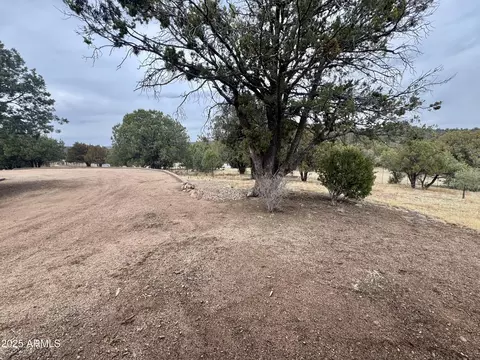 Other - 137 E Hilltop Dr, Young, AZ 85554 photo 24 of 24