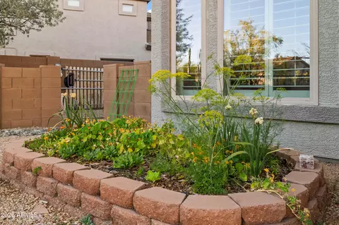 Exterior - 7643 E Sandia Cir, Mesa, AZ 85207 photo 11 of 16
