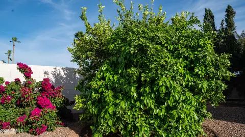 Exterior - 408 E Meadows Ln, Gilbert, AZ 85234 photo 7 of 17
