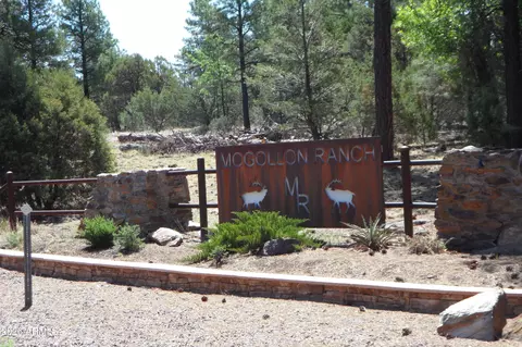 7856 Manzanita Ct #119, Happy Jack, AZ 86024