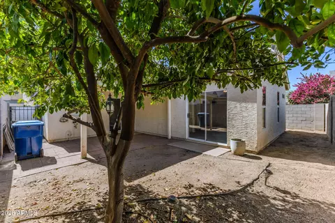 Exterior - 441 S Maple St #86, Mesa, AZ 85206 photo 4 of 9