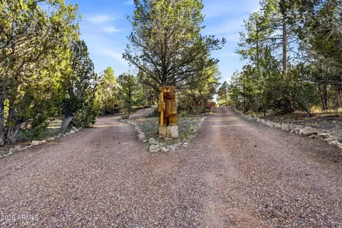 Other - 3161 Trails End --, Overgaard, AZ 85933 photo 4 of 13