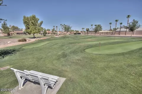 Other - 10821 E Silvertree Dr, Sun Lakes, AZ 85248 photo 11 of 11