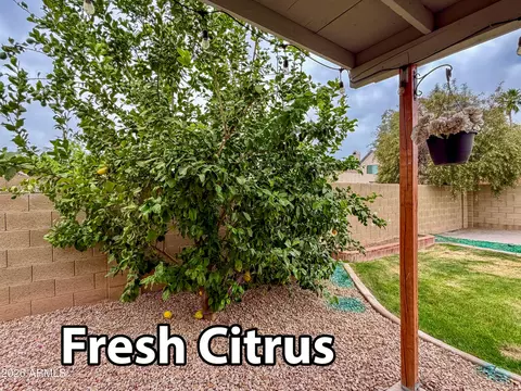 Exterior - 928 E Hope St, Mesa, AZ 85203 photo 11 of 11