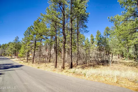 1036 W Apache Ln #118, Lakeside, AZ 85929