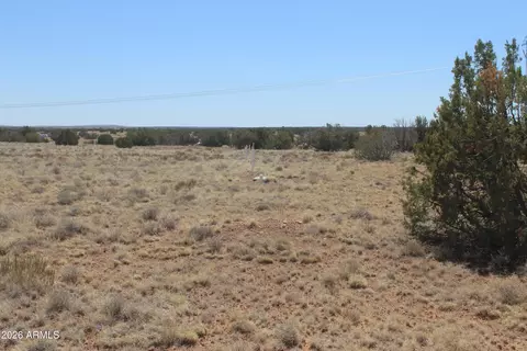 5999 Mesa View Lot 149 Dr #149, Heber, AZ 85928