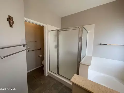 Bath - 9907 E Flanders Rd, Mesa, AZ 85207 photo 1 of 4
